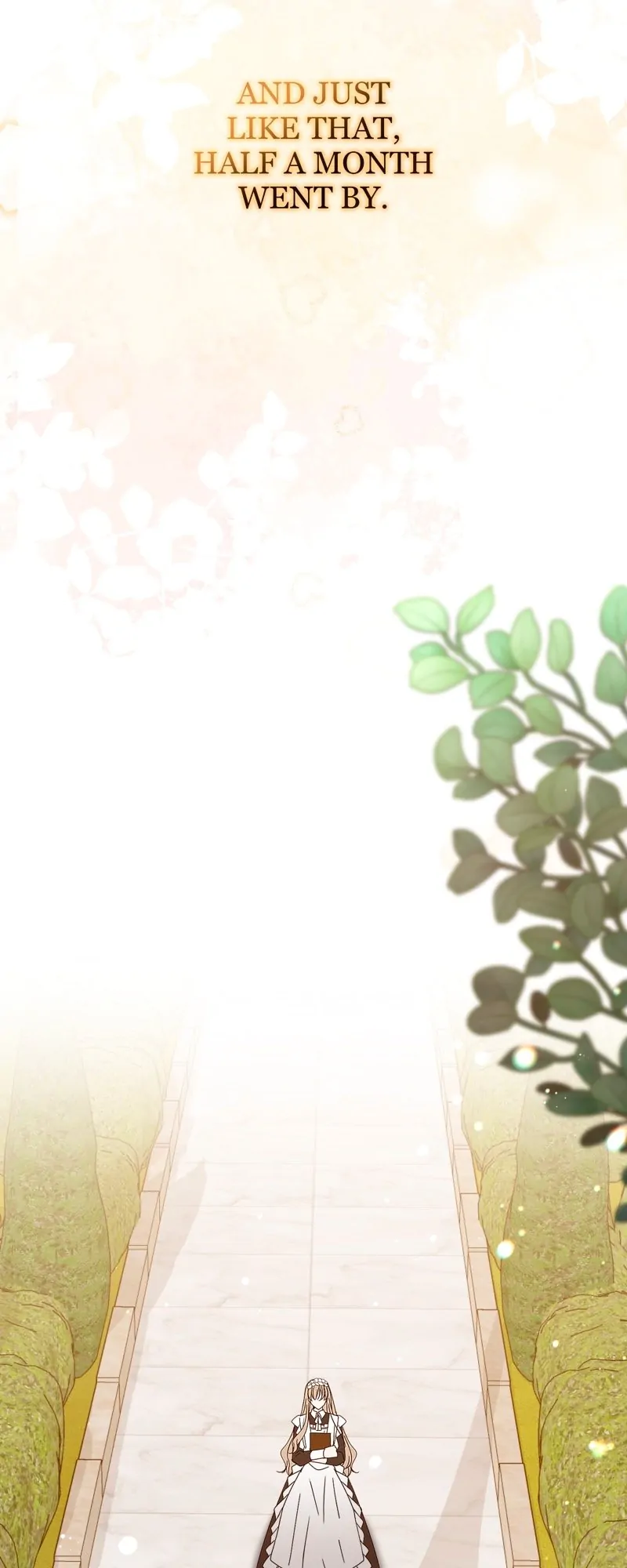 46529431 800 2000 63688